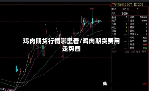 鸡肉期货行情哪里看/鸡肉期货费用走势图-第2张图片