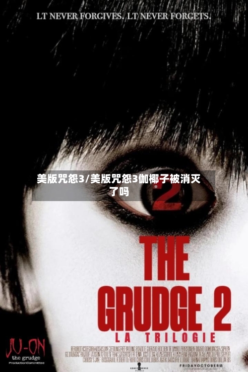 美版咒怨3/美版咒怨3伽椰子被消灭了吗