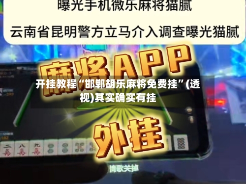 开挂教程“邯郸胡乐麻将免费挂”(透视)其实确实有挂-第3张图片