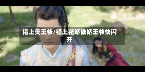 错上美王爷/错上花娇傲娇王爷快闪开-第2张图片