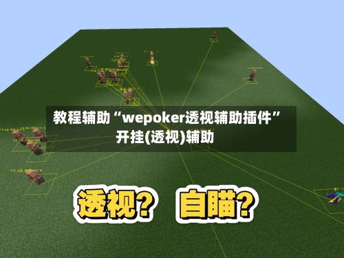 教程辅助“wepoker透视辅助插件	”开挂(透视)辅助-第3张图片