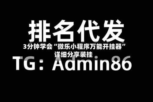 3分钟学会“微乐小程序万能开挂器	”详细分享装挂-第2张图片