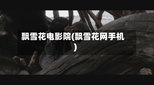 飘雪花电影院(飘雪花网手机)