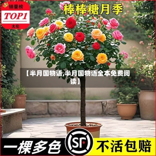 【半月国物语,半月国物语全本免费阅读】-第3张图片