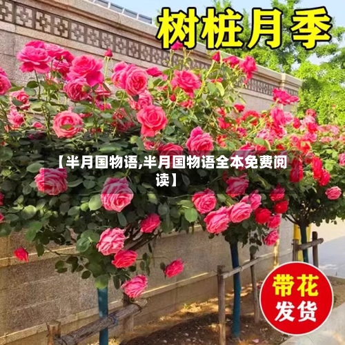 【半月国物语,半月国物语全本免费阅读】-第2张图片