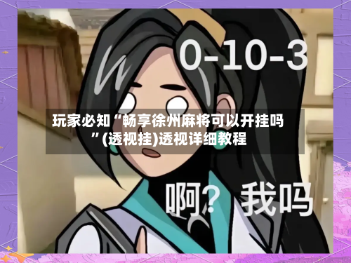 玩家必知“畅享徐州麻将可以开挂吗”(透视挂)透视详细教程-第2张图片
