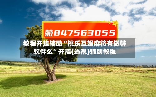 教程开挂辅助“桃乐互娱麻将有做弊软件么”开挂(透视)辅助教程-第2张图片