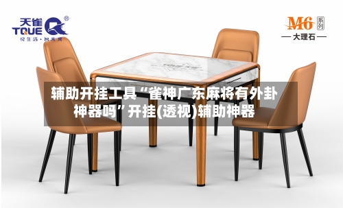辅助开挂工具“雀神广东麻将有外卦神器吗	”开挂(透视)辅助神器-第3张图片