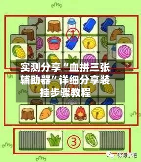 实测分享“血拼三张辅助器”详细分享装挂步骤教程-第2张图片