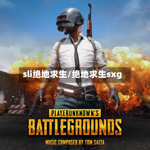 sli绝地求生/绝地求生sxg-第3张图片