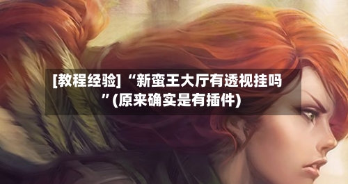 [教程经验] “新蛮王大厅有透视挂吗”(原来确实是有插件)-第2张图片