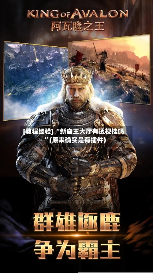 [教程经验] “新蛮王大厅有透视挂吗	”(原来确实是有插件)-第3张图片