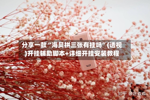 分享一款“海贝拼三张有挂吗	”(透视)开挂辅助脚本+详细开挂安装教程-第2张图片