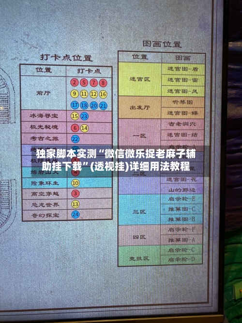 独家脚本实测“微信微乐捉老麻子辅助挂下载”(透视挂)详细用法教程-第3张图片