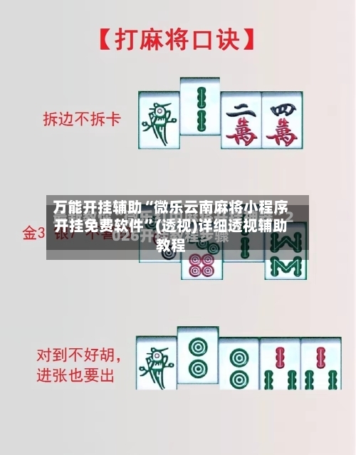万能开挂辅助“微乐云南麻将小程序开挂免费软件”(透视)详细透视辅助教程-第3张图片