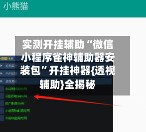 实测开挂辅助“微信小程序雀神辅助器安装包”开挂神器{透视辅助}全揭秘-第3张图片