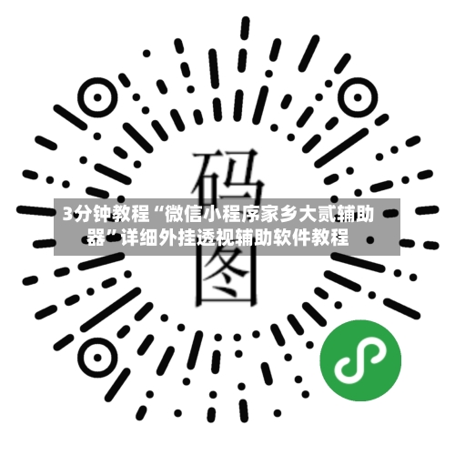 3分钟教程“微信小程序家乡大贰辅助器”详细外挂透视辅助软件教程-第3张图片