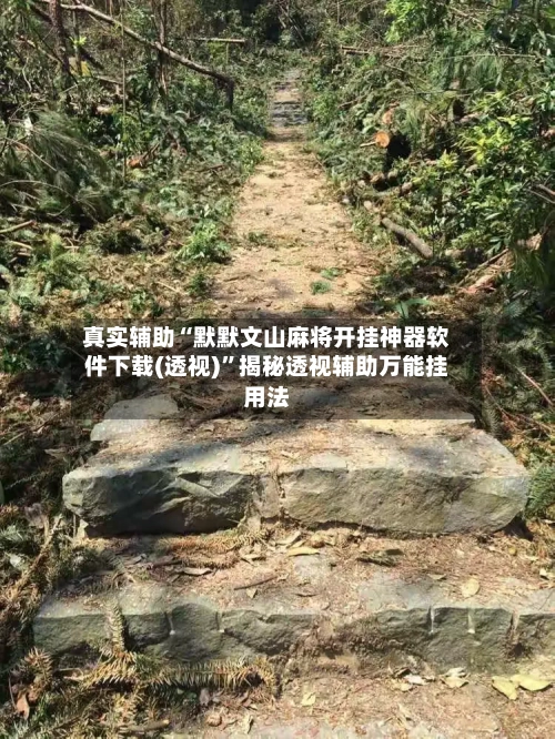 真实辅助“默默文山麻将开挂神器软件下载(透视)”揭秘透视辅助万能挂用法-第2张图片