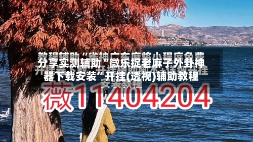 分享实测辅助“微乐捉老麻子外卦神器下载安装”开挂(透视)辅助教程