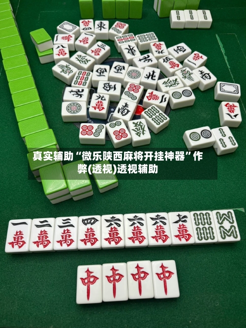 真实辅助“微乐陕西麻将开挂神器”作弊(透视)透视辅助-第2张图片