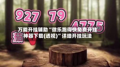 万能开挂辅助“微乐跑得快免费开挂神器下载(透视)	”详细开挂玩法-第2张图片