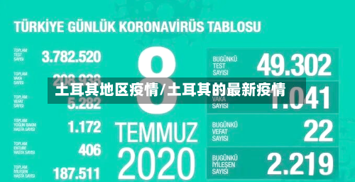 土耳其地区疫情/土耳其的最新疫情