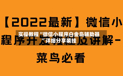 实操教程“微信小程序白金岛辅助器”详细分享装挂-第3张图片