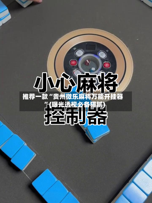 推荐一款“贵州微乐麻将万能开挂器”(曝光透视必备猫腻)