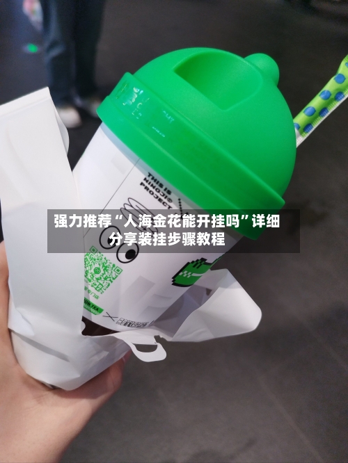 强力推荐“人海金花能开挂吗	”详细分享装挂步骤教程-第3张图片