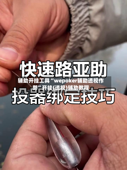 辅助开挂工具“wepoker辅助透视作弊	”开挂(透视)辅助教程-第2张图片