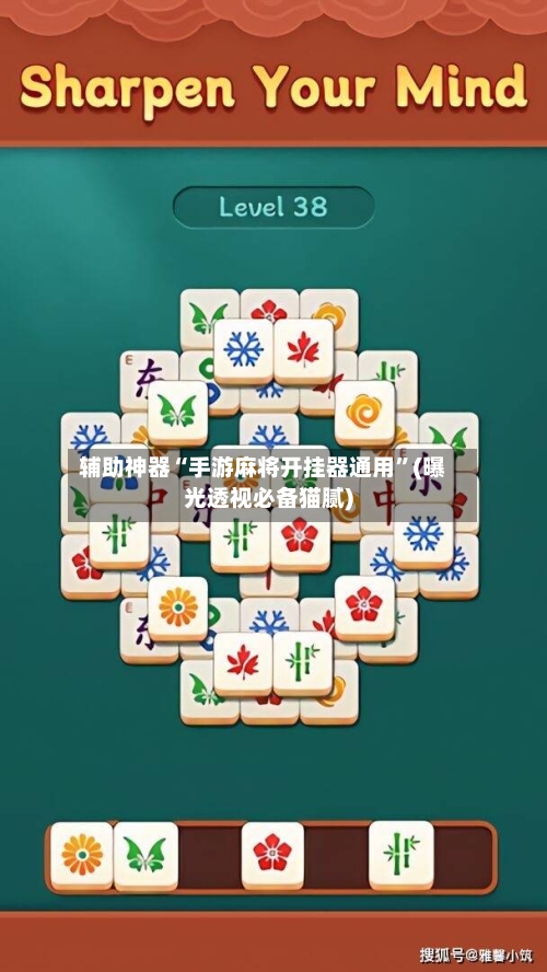 辅助神器“手游麻将开挂器通用	”(曝光透视必备猫腻)-第2张图片