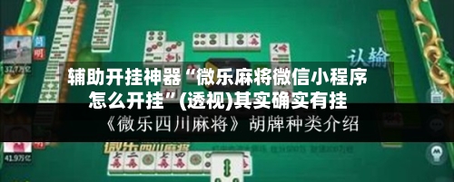 辅助开挂神器“微乐麻将微信小程序怎么开挂	”(透视)其实确实有挂-第2张图片