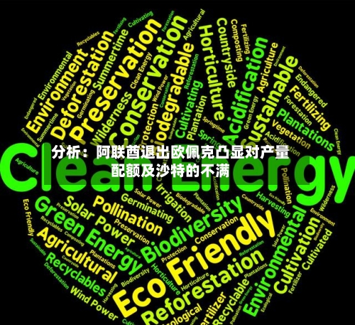 分析：阿联酋退出欧佩克凸显对产量配额及沙特的不满-第2张图片