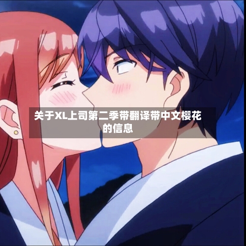 关于XL上司第二季带翻译带中文樱花的信息
