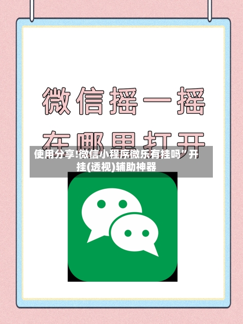 使用分享!微信小程序微乐有挂吗”开挂(透视)辅助神器-第2张图片