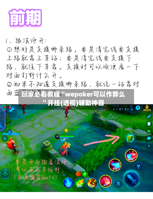 玩家必看教程“wepoker可以作弊么”开挂(透视)辅助神器-第3张图片