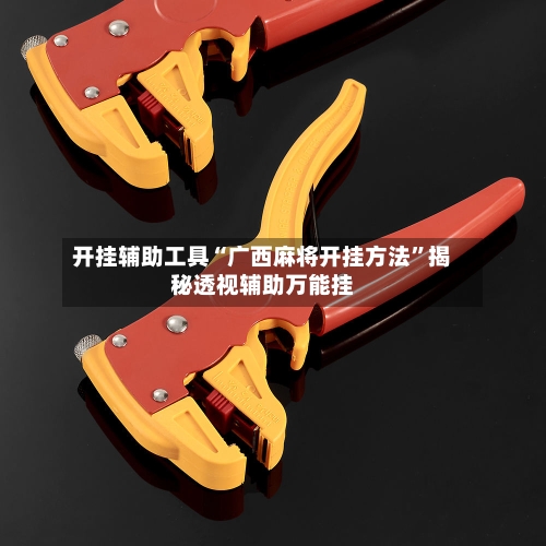 开挂辅助工具“广西麻将开挂方法”揭秘透视辅助万能挂-第3张图片