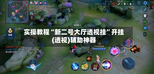 实操教程“新二号大厅透视挂”开挂(透视)辅助神器-第3张图片