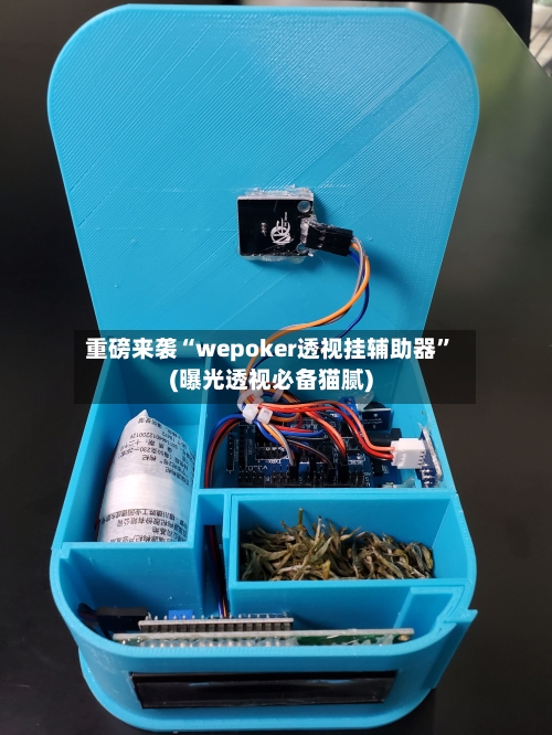 重磅来袭“wepoker透视挂辅助器”(曝光透视必备猫腻)-第3张图片