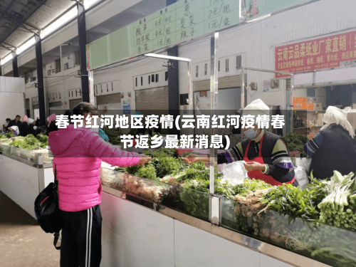 春节红河地区疫情(云南红河疫情春节返乡最新消息)-第1张图片