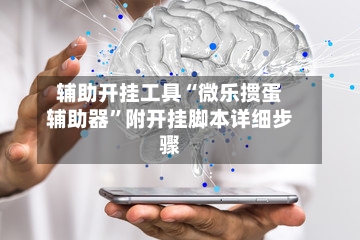 辅助开挂工具“微乐掼蛋辅助器”附开挂脚本详细步骤-第2张图片