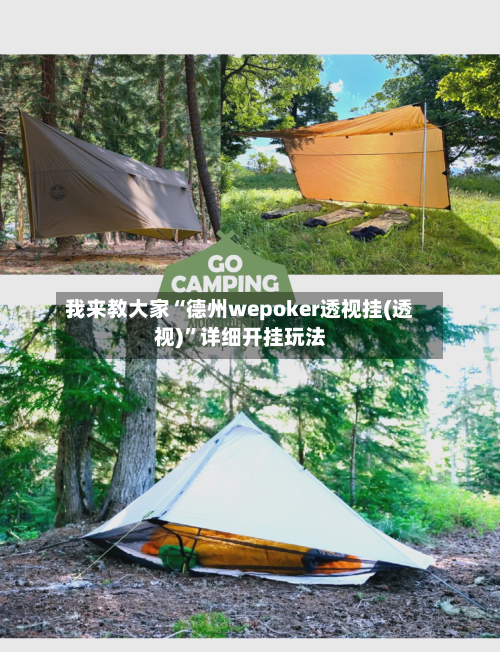 我来教大家“德州wepoker透视挂(透视)”详细开挂玩法-第2张图片