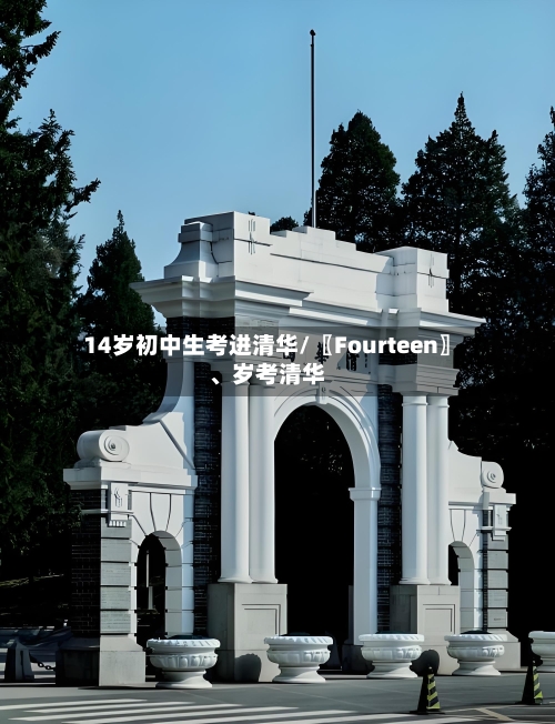 14岁初中生考进清华/〖Fourteen〗、岁考清华-第3张图片