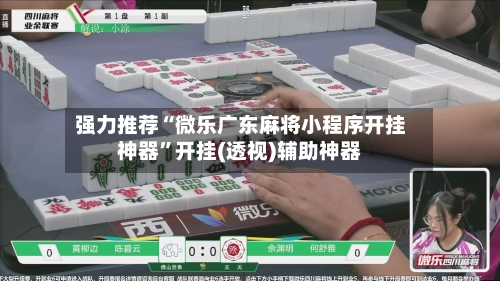 强力推荐“微乐广东麻将小程序开挂神器”开挂(透视)辅助神器-第2张图片