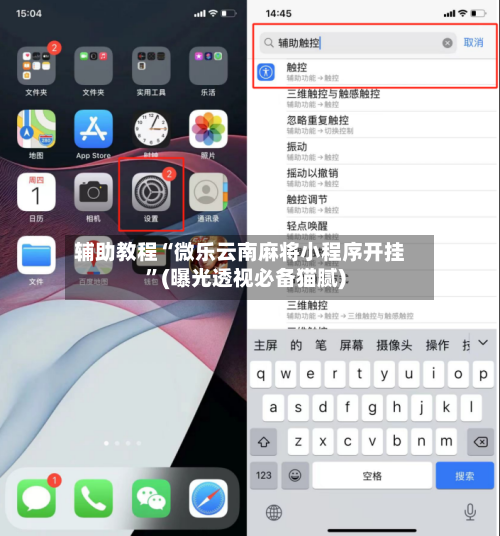 辅助教程“微乐云南麻将小程序开挂”(曝光透视必备猫腻)-第3张图片