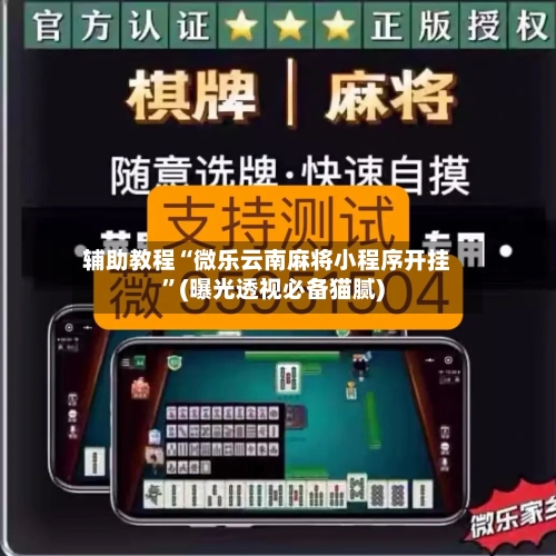 辅助教程“微乐云南麻将小程序开挂”(曝光透视必备猫腻)