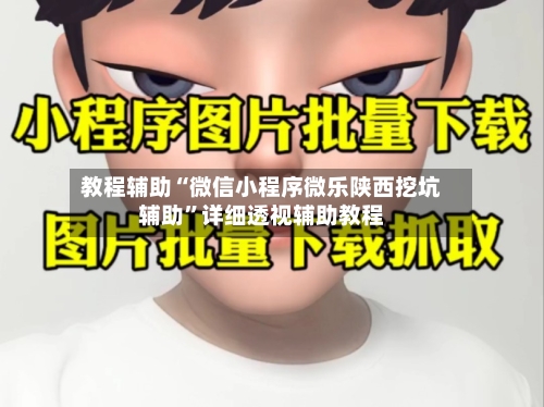 教程辅助“微信小程序微乐陕西挖坑辅助”详细透视辅助教程-第2张图片