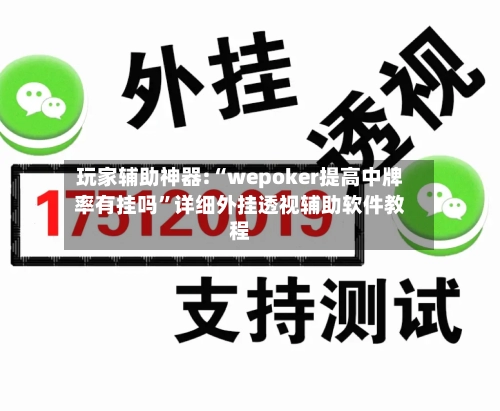 玩家辅助神器:“wepoker提高中牌率有挂吗”详细外挂透视辅助软件教程-第2张图片