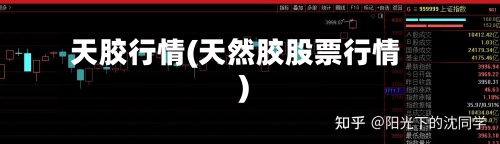 天胶行情(天然胶股票行情)