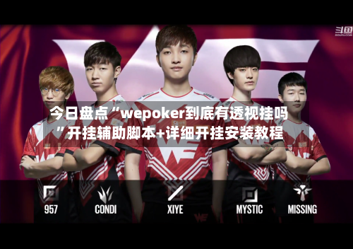 今日盘点“wepoker到底有透视挂吗”开挂辅助脚本+详细开挂安装教程-第3张图片